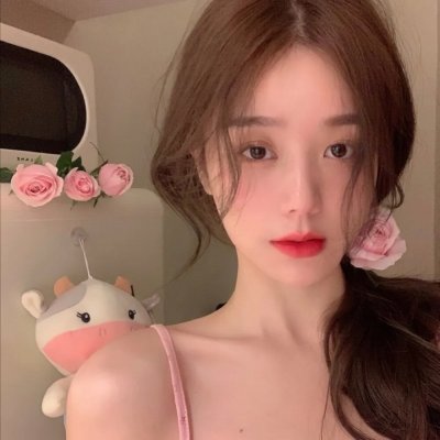 您的狗狗牌女友已上线